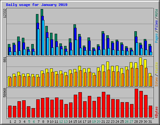 Daily usage for January 2019