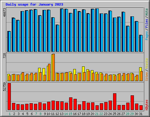 Daily usage for January 2023