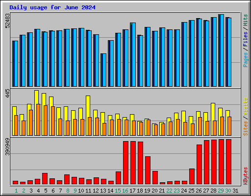 Daily usage for June 2024