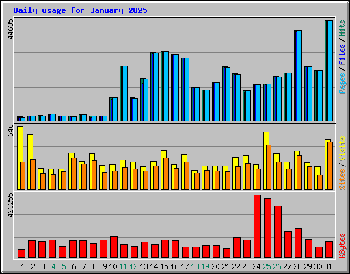 Daily usage for January 2025