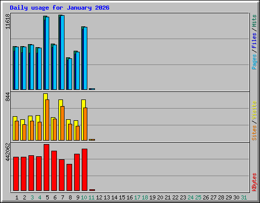 Daily usage for January 2026