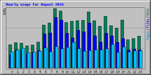 Hourly usage for August 2018