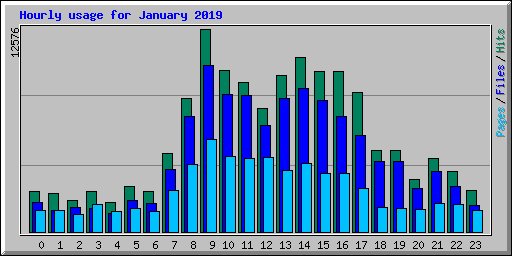Hourly usage for January 2019