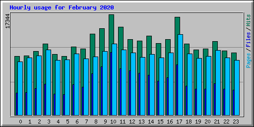 Hourly usage for February 2020