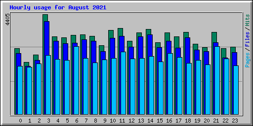 Hourly usage for August 2021