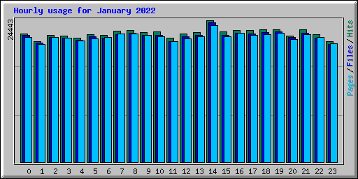 Hourly usage for January 2022