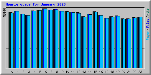 Hourly usage for January 2023