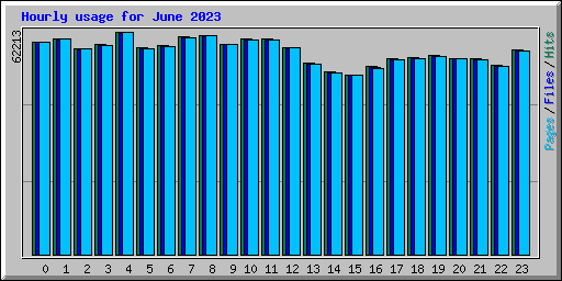 Hourly usage for June 2023