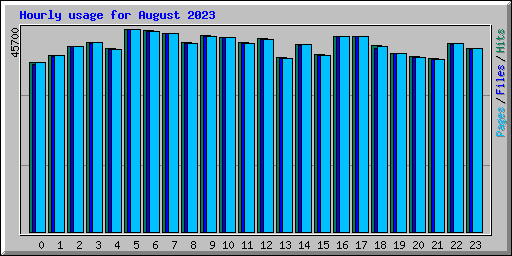 Hourly usage for August 2023