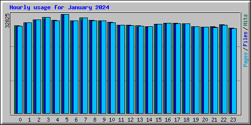 Hourly usage for January 2024