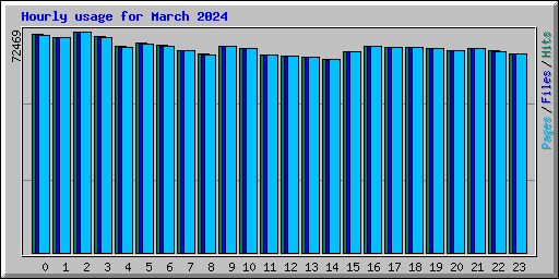 Hourly usage for March 2024
