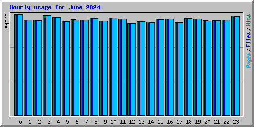 Hourly usage for June 2024