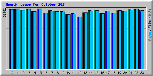 Hourly usage for October 2024