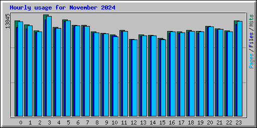 Hourly usage for November 2024