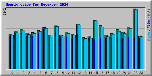 Hourly usage for December 2024