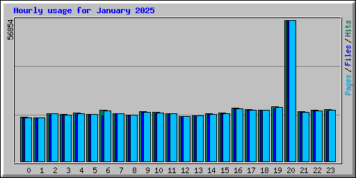 Hourly usage for January 2025