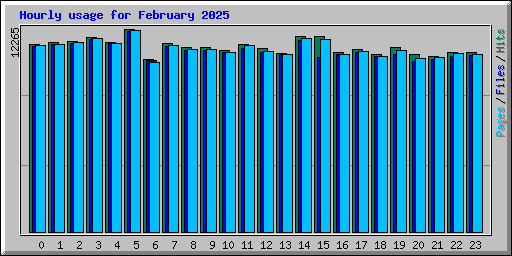 Hourly usage for February 2025