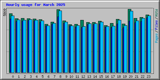 Hourly usage for March 2025