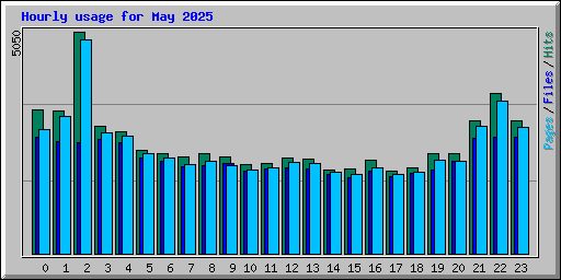 Hourly usage for May 2025