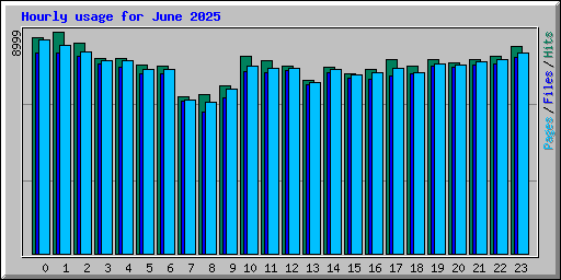 Hourly usage for June 2025