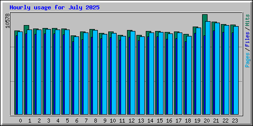 Hourly usage for July 2025