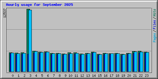 Hourly usage for September 2025