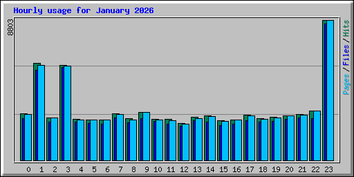 Hourly usage for January 2026