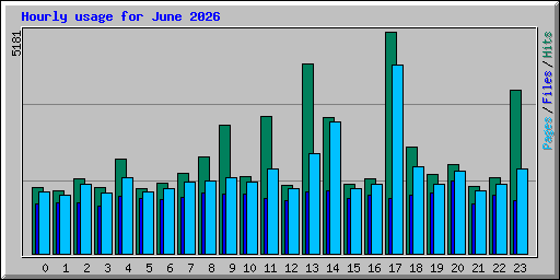 Hourly usage for June 2026