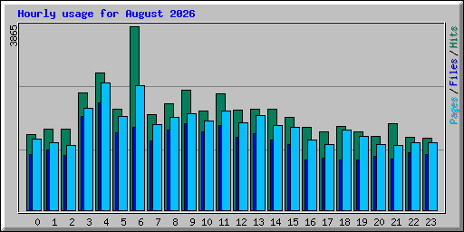 Hourly usage for August 2026